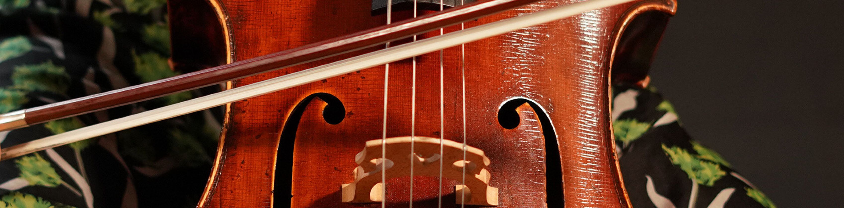 Violoncello im Konzert