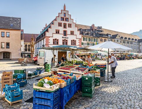 Stand auf dem Münstermarkt mit Obst und Gemüse und im Hintergrund das Kornhaus 