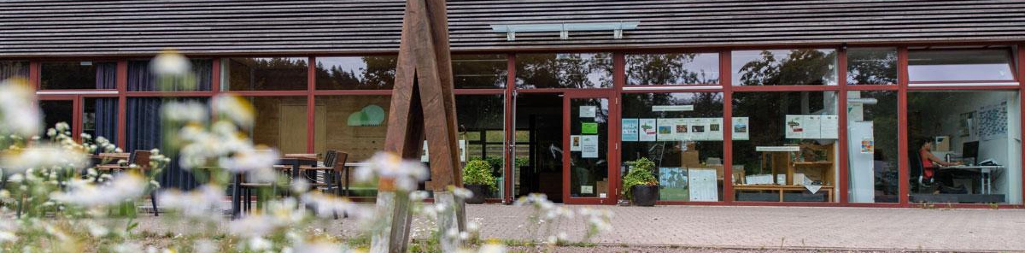 Waldspaziergang im Freiburger Stadtwald