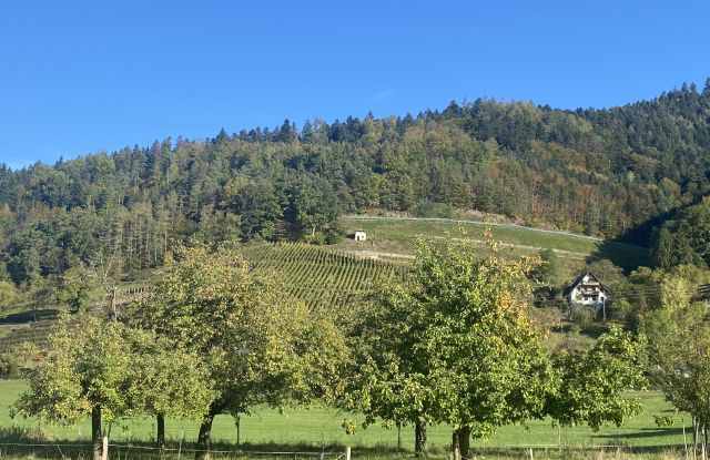 Warum in die Ferne schweifen