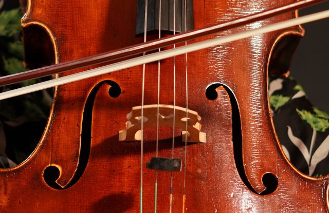 Musikpädagogik mit Hauptfach Violoncello im Konzert