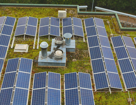 Gründach und PV: Die ideale Kombination
