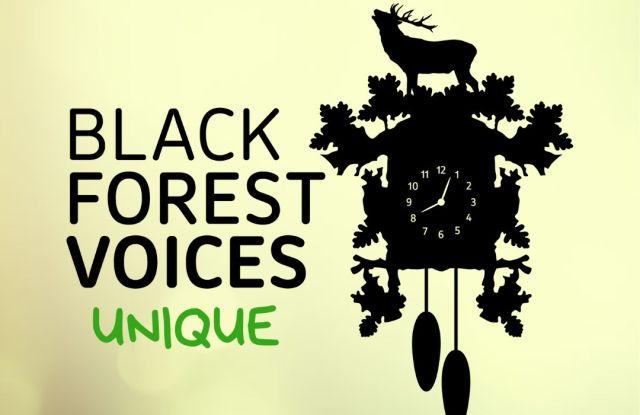 Festival ticket light - Black Forest Voices 2025