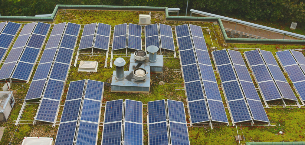 Gründach und PV: Die ideale Kombination