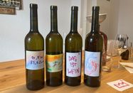 Weingut Andreas Dilger