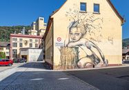 FWTM-Spiegelhalter