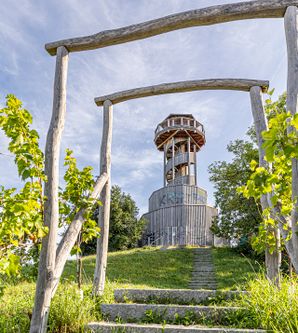 Blick auf den Aussichtsturm am Seepark mit Aufgang 