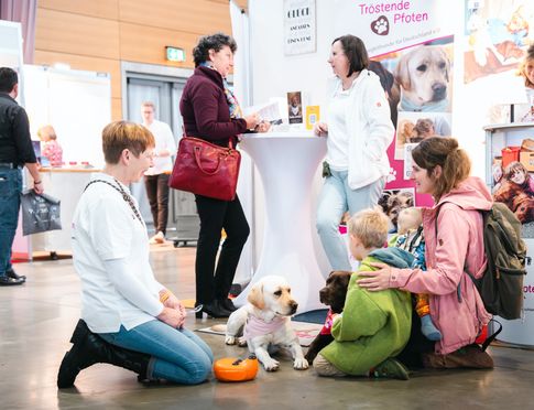 Therapiehunde sind wichtig in der Hospizarbeit.