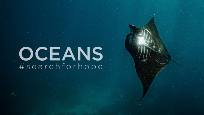 Live-Show OCEANS #searchforhope
