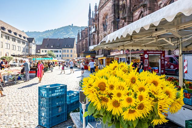 Marktstände auf dem Münsterplatz mit Sonnenblumen und im Hintergrund das Münster und den Schlossberg 