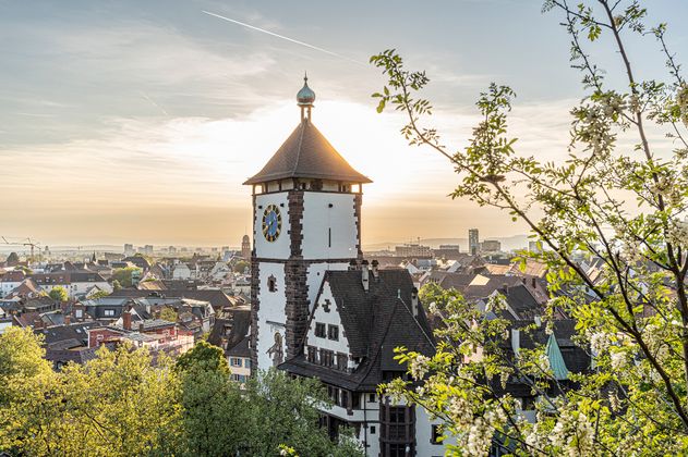 Schwabentor-Blick vom Schlossberg