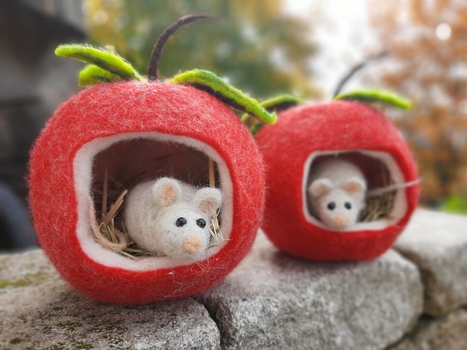 Filze ein kuscheliges Apfelhaus mit einem kleinen Mäuschen!