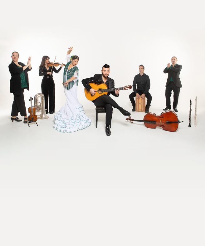 Daniel Martinez Flamenco Company