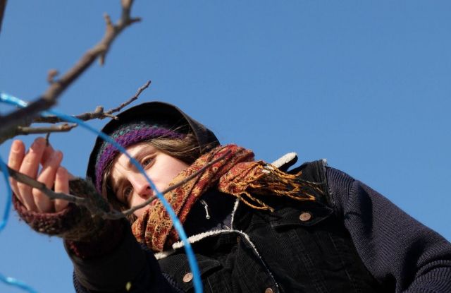 Begutachtung der Knospen., © Gesine Langlotz - Schule für Obstbaumpflege