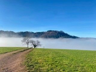 Oberried - Homme mort - Oberried