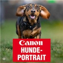 Atelier Canon Portraits de chiens 12.07.2025 - Sebastian Schweinstig I Canon Academy