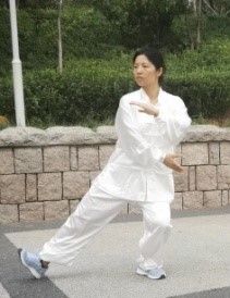 Taijiquan: Die Kunst der sanften Bewegung, © Chinesischer Kulturverband "Sonnenschein"