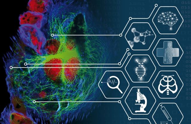 3D Cell Culture 2025: Functional Presicion Medicine