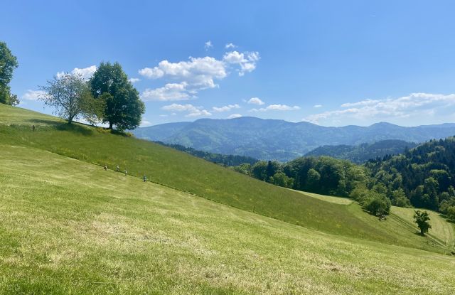 DER BELCHEN