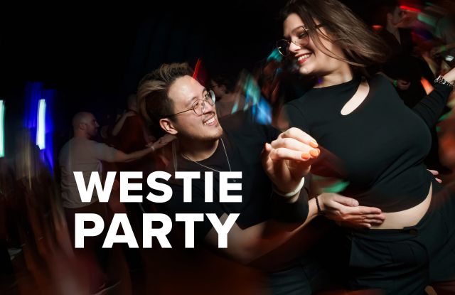 Westie-Party, © gutmann media