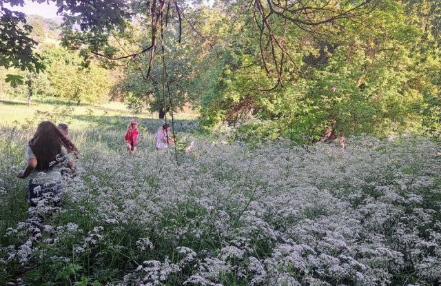 Enfants Nature Sauvage Loisirs