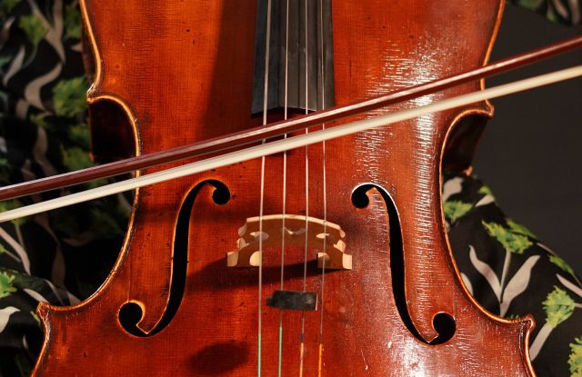 Violoncello im Konzert