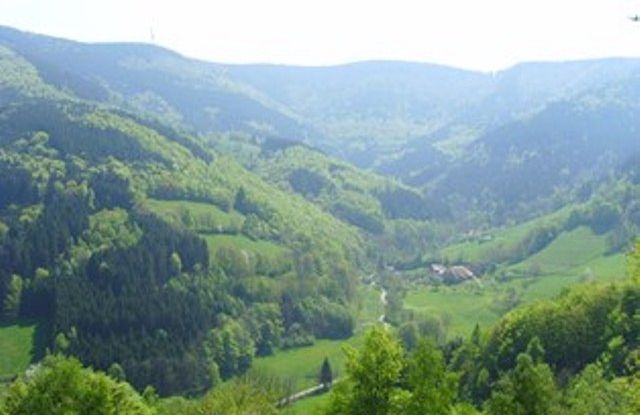 Von Todtnauberg auf den Feldberg