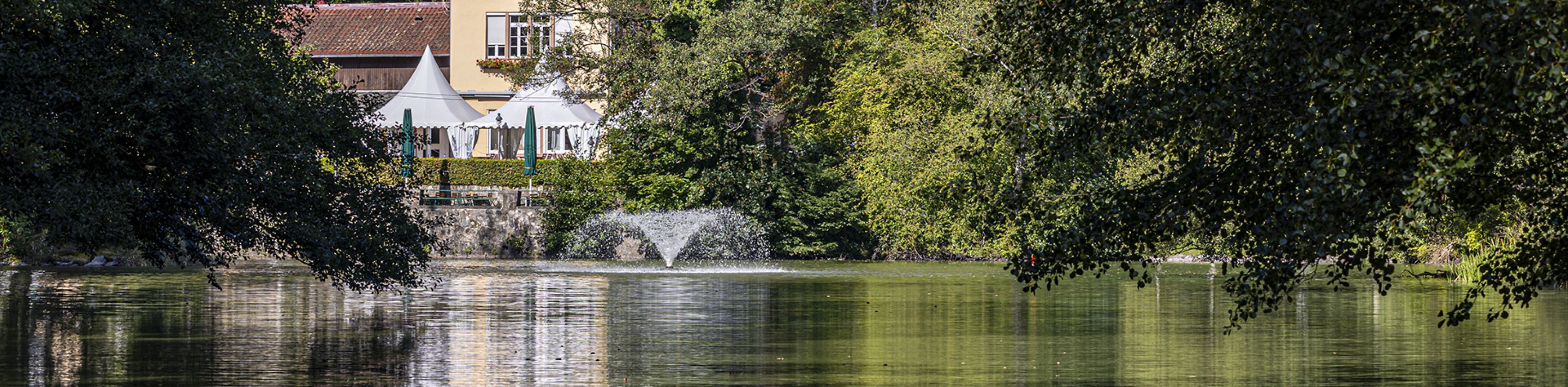Waldsee-FWTM-Spiegelhalter.20, © FWTM-Spiegelhalter