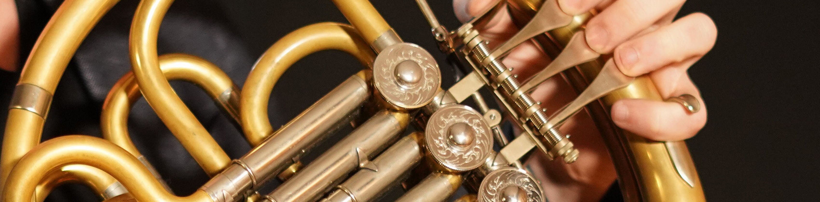 Horn im Konzert