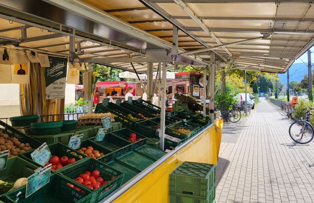 Haslach Friday Market