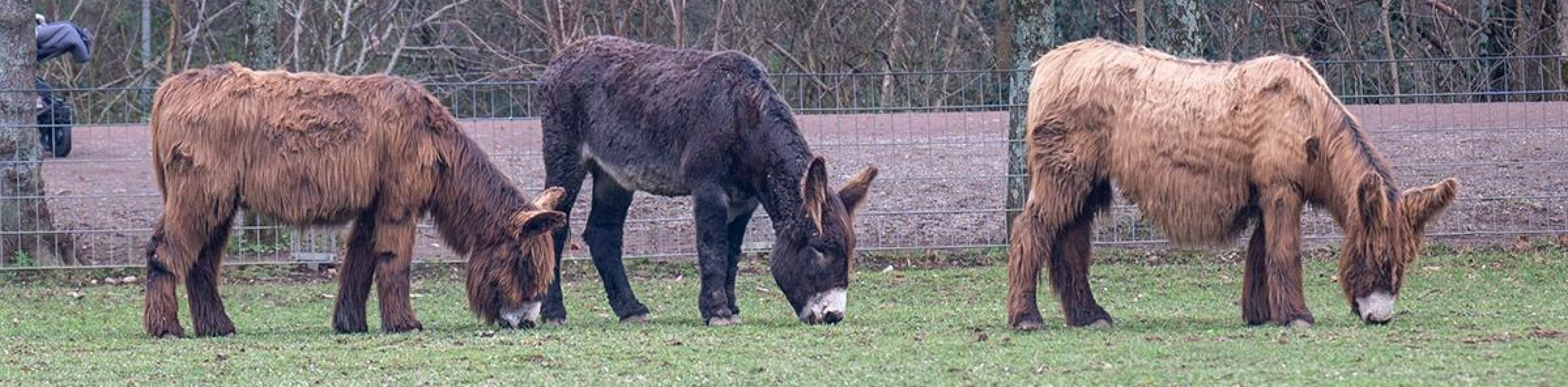 Foto: Seeger/Stadt Freiburg