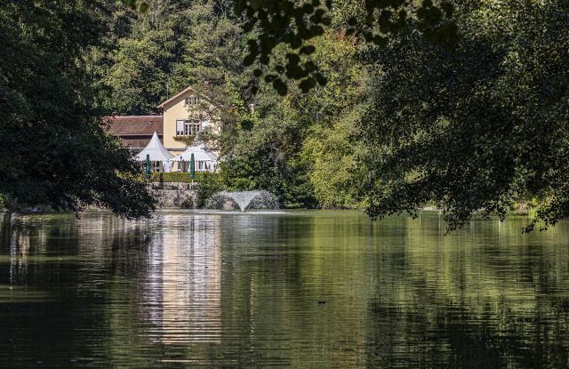 Waldsee-FWTM-Spiegelhalter.20, © FWTM-Spiegelhalter