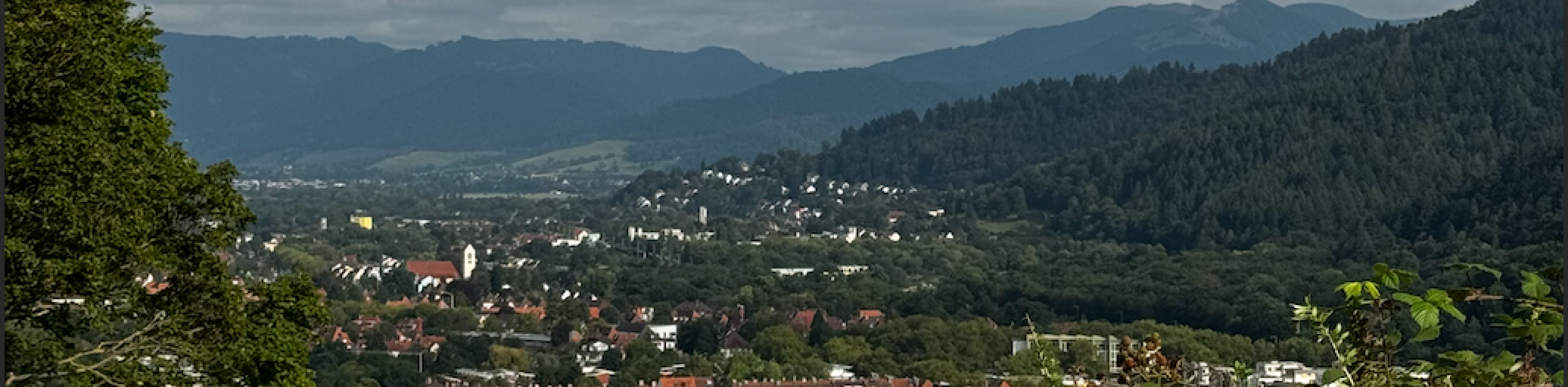 Ausblick in Richtung Littenweiler, © Melanie Cypko