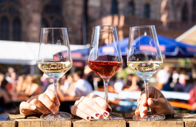 50th Freiburg Wine Festival 2023