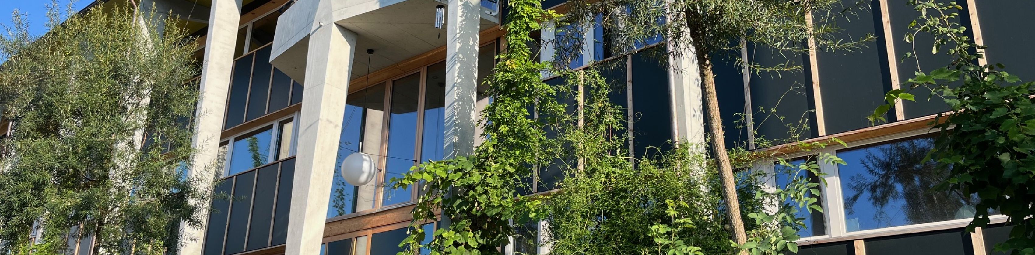 Essbare Fassadenbegrünung Zürich, © Grün Stadt Zürich, Sara Bischof