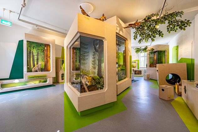 Innenansicht eines Ausstellungsraum mit Tieren 