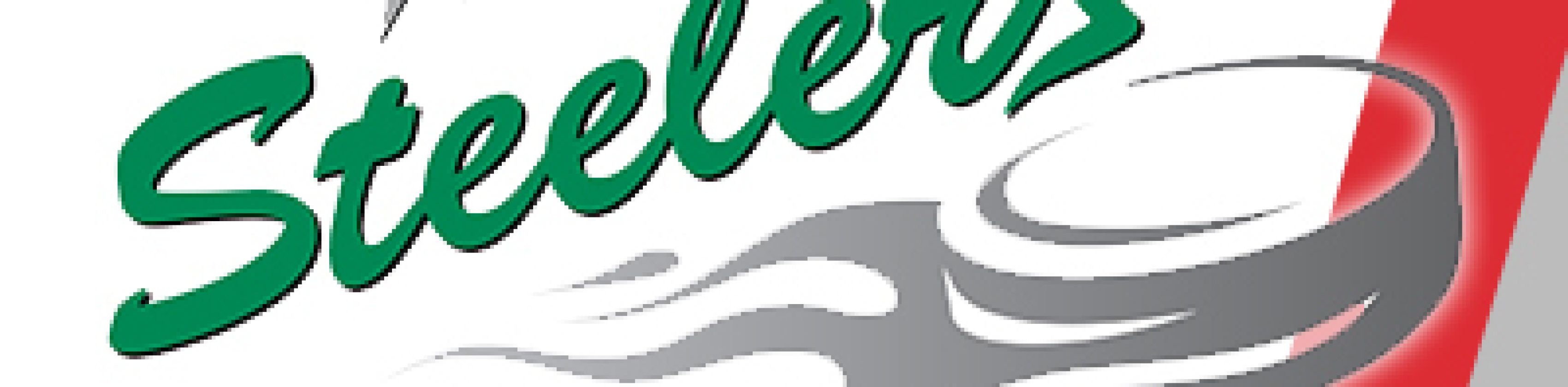 EHC Freiburg - Bietigheim Steelers