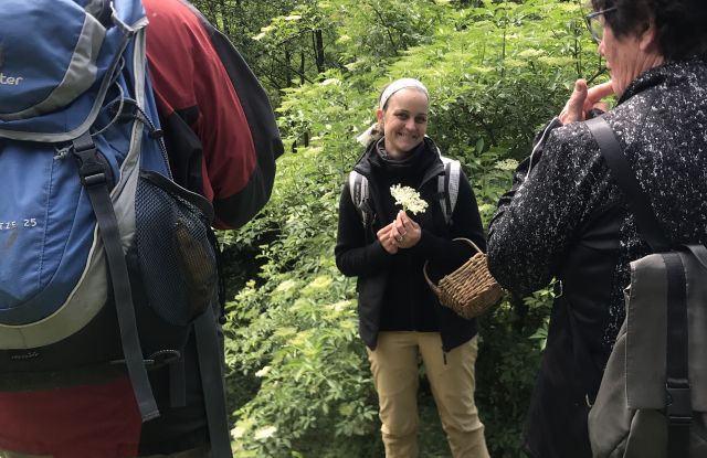 Wild herb adventure tour around the Schlossberg