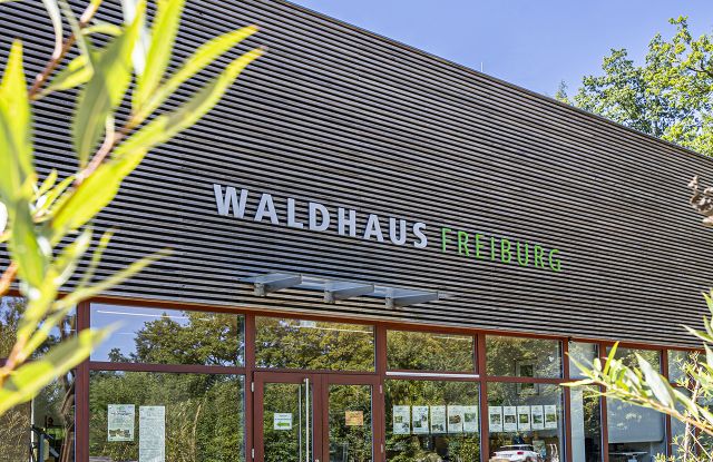 Waldhaus-FWTM-Spiegelhalter.4