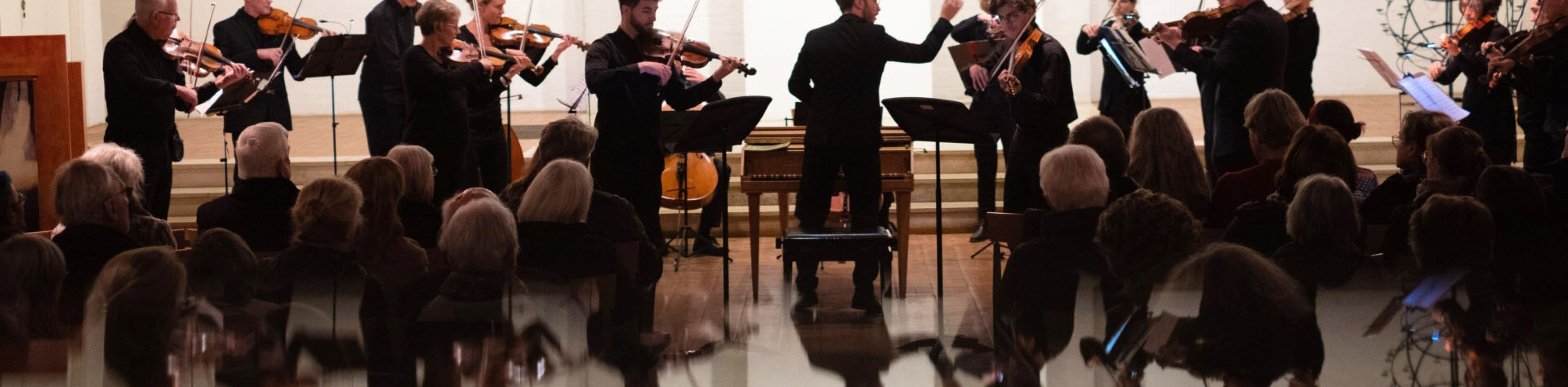 Musikpädagogik mit Hauptfach Violine im Konzert