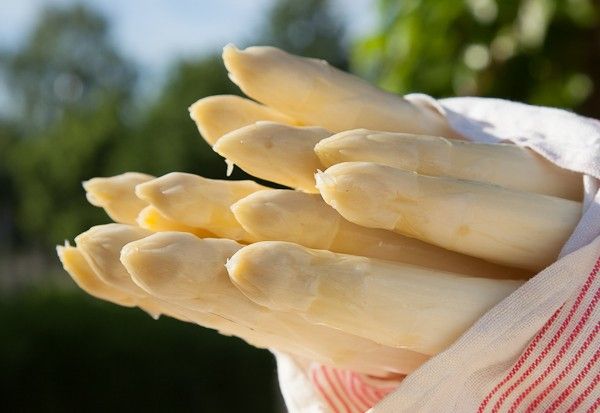 Fête du vin et des asperges