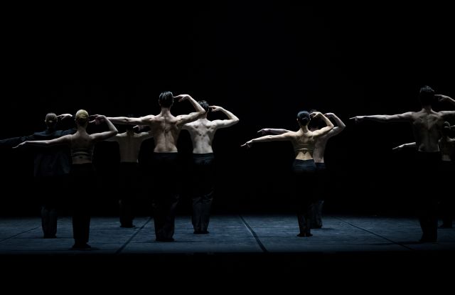 Le FREI ART FESTIVAL présente des chorégraphies exceptionnelles au Studio Pro Arte