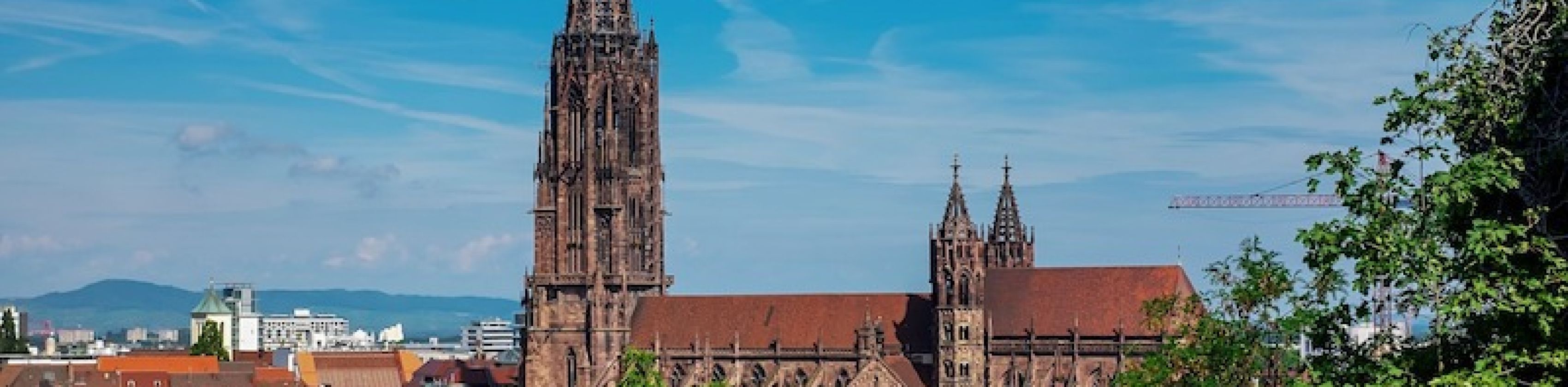 Öffentliche Stadtführung Freiburg mit Besuch des Münsters 2024 - Freiburger Altstadtführung mit Besuch des Münsters