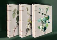 ECHO BOOK, Insa Keilbach